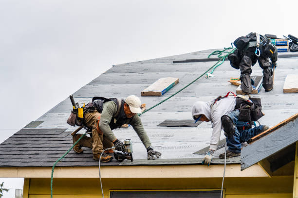 Professional Flat Roof Repair technician working in Prairieburg, IA